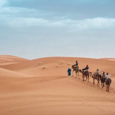 Camel Trekking  ERG ZAHER